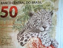 brasilianischer Fünfzig Real-Geldschein von assy