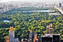 Blick auf Central Park vom Rockefeller Center von assy