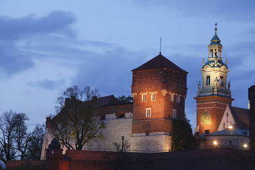Wawel119