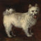 Thomas-gainsborough-spitz-dog