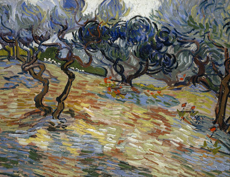 Vincent-van-gogh-olive-trees