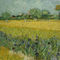 Vincent-van-gogh-veld-met-bloemen-bij-arles