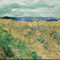 Vincent-van-gogh-wheatfield-with-cornflowers