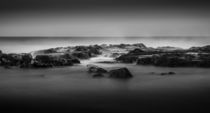 The Elements bw by h3bo3