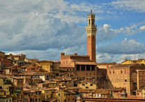 Blick auf Siena by Peter Bergmann