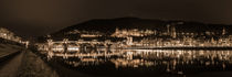 Heidelberg Castle Panorama in sepia by h3bo3