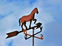 Windrichtungsanzeiger mit Pferd by assy