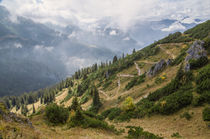 Alpine Path by h3bo3