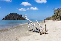 Bleached driftwood on Hua Hin beach, Trang Province, Thailand von Kevin Hellon