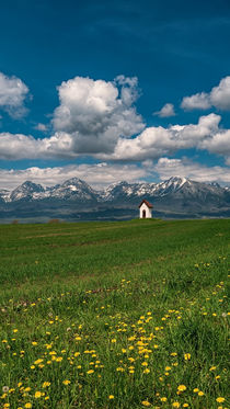 Spring under the High Tatras, Slovakia von Tomas Gregor
