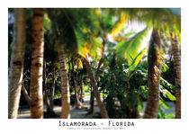 Islamorada Florida by Lise Ringkvist