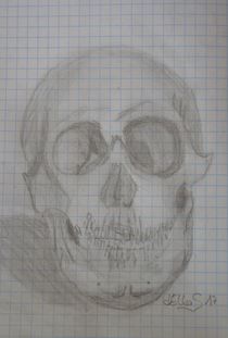 Skull by art-dellas