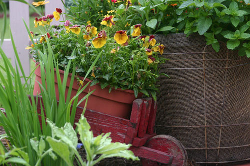Cart-with-pansies