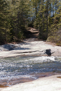 Path across the stream von June Buttrick