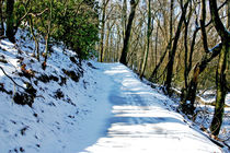 Snowy path von June Buttrick