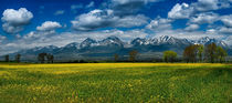 Spring under the High Tatras, Slovakia by Tomas Gregor