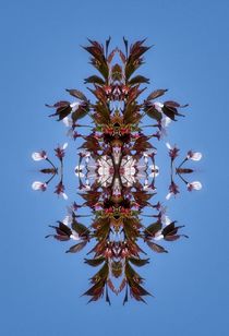 Kirschblüten Fantasie 7 by kattobello