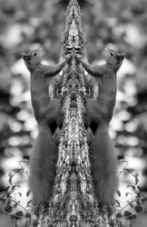 Retro Eichhörnchen Zwillinge von kattobello