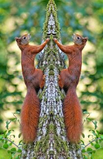 Eichhörnchen Zwillinge by kattobello