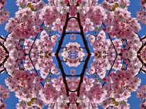 Kirschblüten Fantasie 3 von kattobello