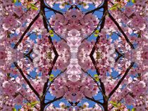 Kirschblüten Fantasie 2 von kattobello