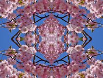 Kirschblüten Fantasie 1 by kattobello