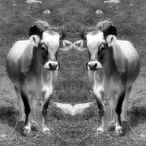 Retro Kuh Zwillinge von kattobello