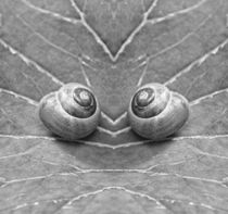 Retro Schnecken Zwillinge von kattobello