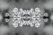 Eiskristalle 3 by kattobello