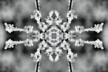 Eiskristalle 2 by kattobello