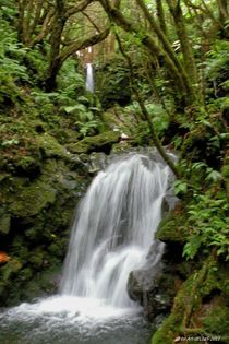 Wasserfall von art-dellas