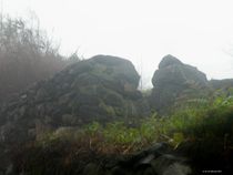 Mytisch Ruine im Nebel von art-dellas