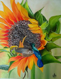 Sunflower and hummingbird by Wendy Mitchell