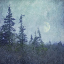 The trees and the moon  by Priska  Wettstein