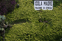 Isola Madre by stephiii