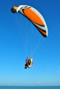 Flying high by Azzurra Di Pietro