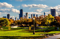 Chicago Skyline by Lev Kaytsner