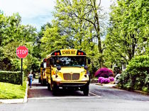 School Buses At Stop Sign In Spring by Susan Savad