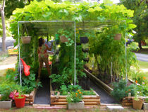 Organic Gardening 2 von lanjee chee