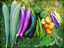 Organic Home Grown Vegetables von lanjee chee