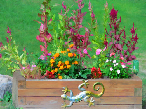 Flowers-in-a-wooden-flower-bed