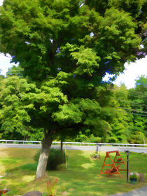 Wooden garden swing under maple tree by lanjee chee