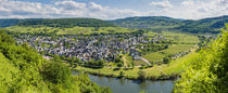 Mosel bei Pünderich (3) by Erhard Hess
