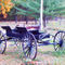 Old-carriage-cart-in-garden
