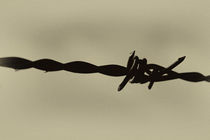 Stacheldraht, Barbed Wire by art-adisan