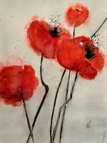 Red poppy - Roter Mohn by Chris Berger