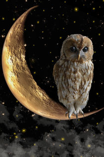 night owl - Nachteule von Chris Berger