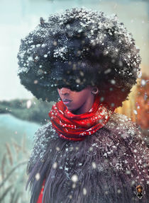 Winter Beauty "the warm balade" von Daniel Minlo