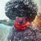 Snow-afro-layout