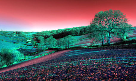 Exmoor-valley-pink